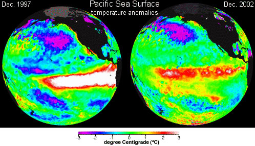 Comparison temperature surface Pacific Sea