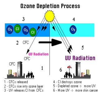 Ozone depletion process
