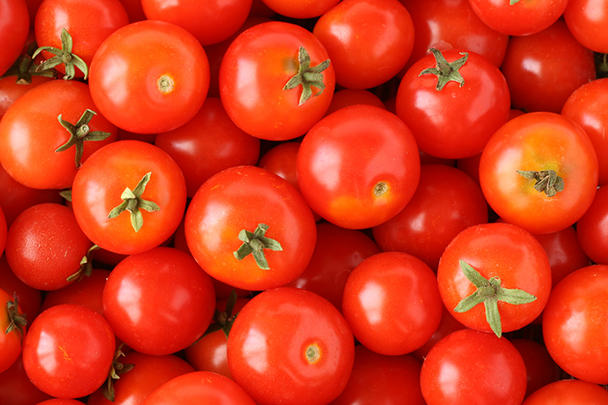 tomatoes
