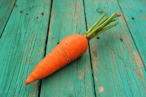carrot