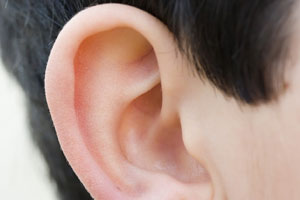 ear