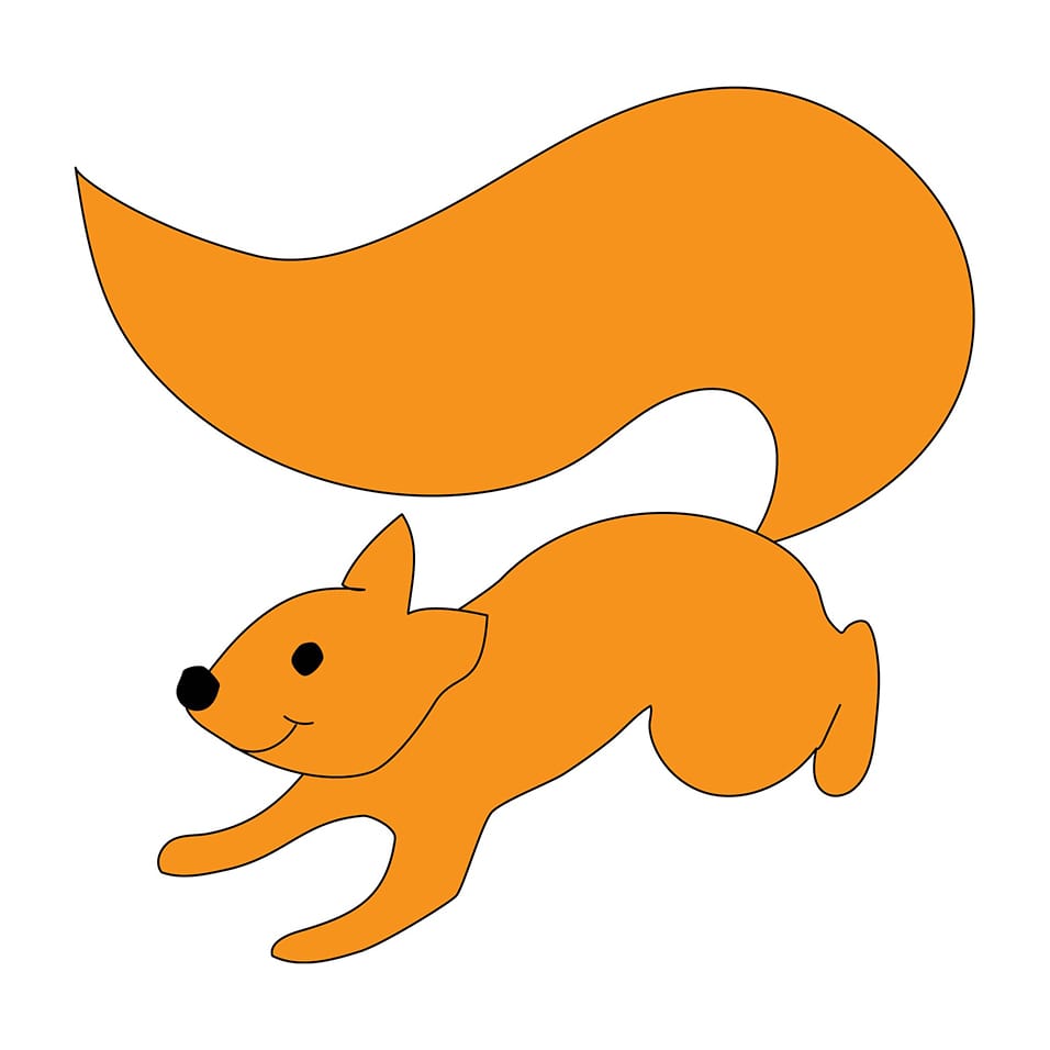 squirrel