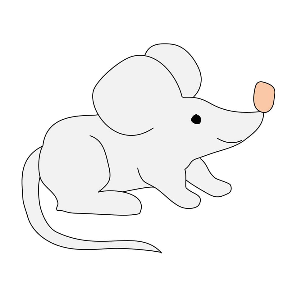 mouse