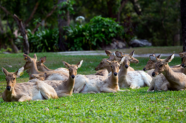 group_image