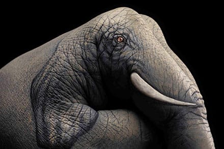 hand art - elephant
