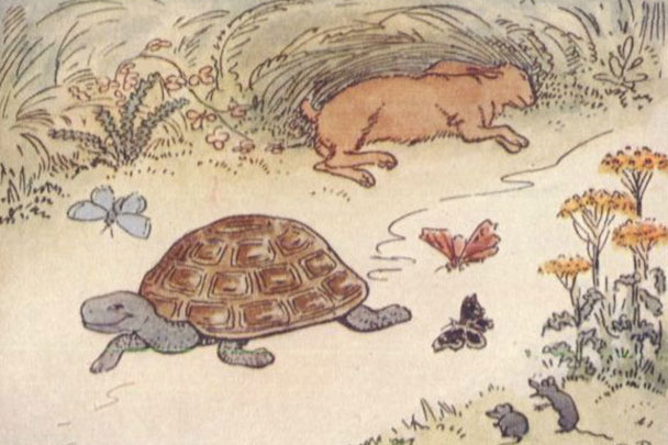 the tortoise and the hare