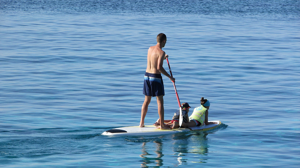 paddleboard