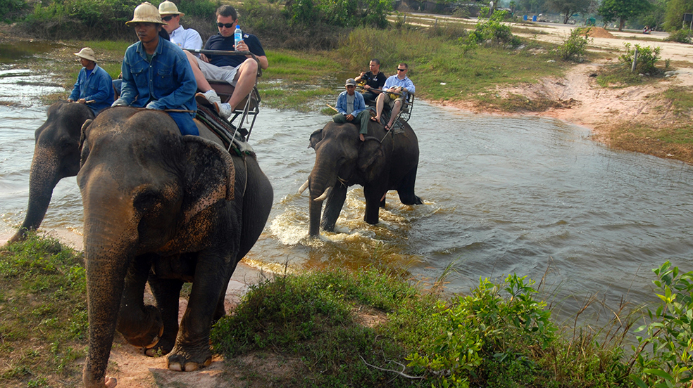 elephant tour