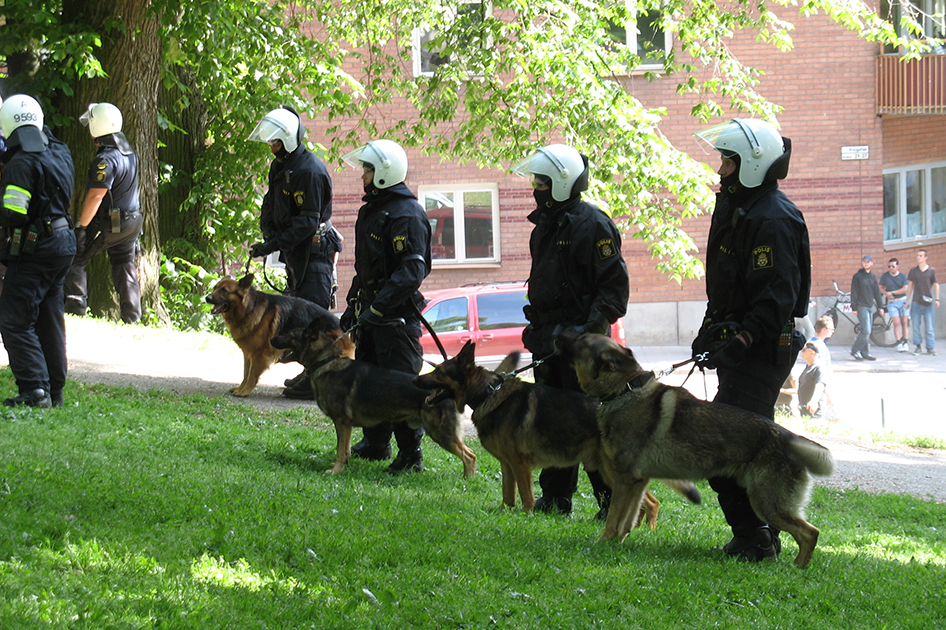 police dog