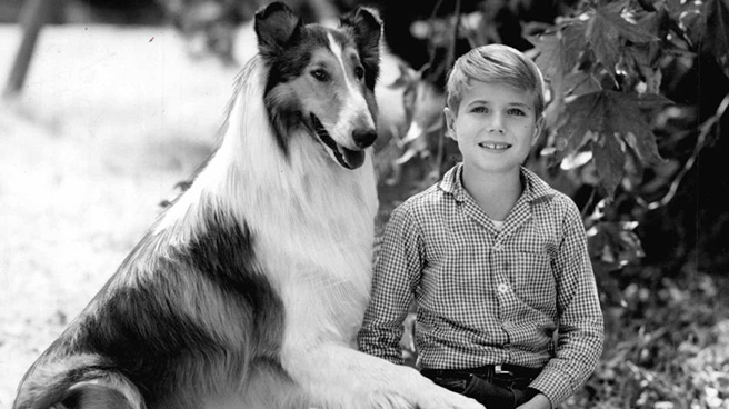 Pal or Lassie 3