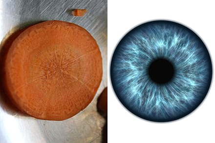 carrot and eye