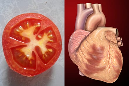 tomato and heart