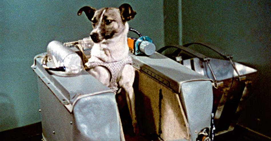 Laika the Space Dog
