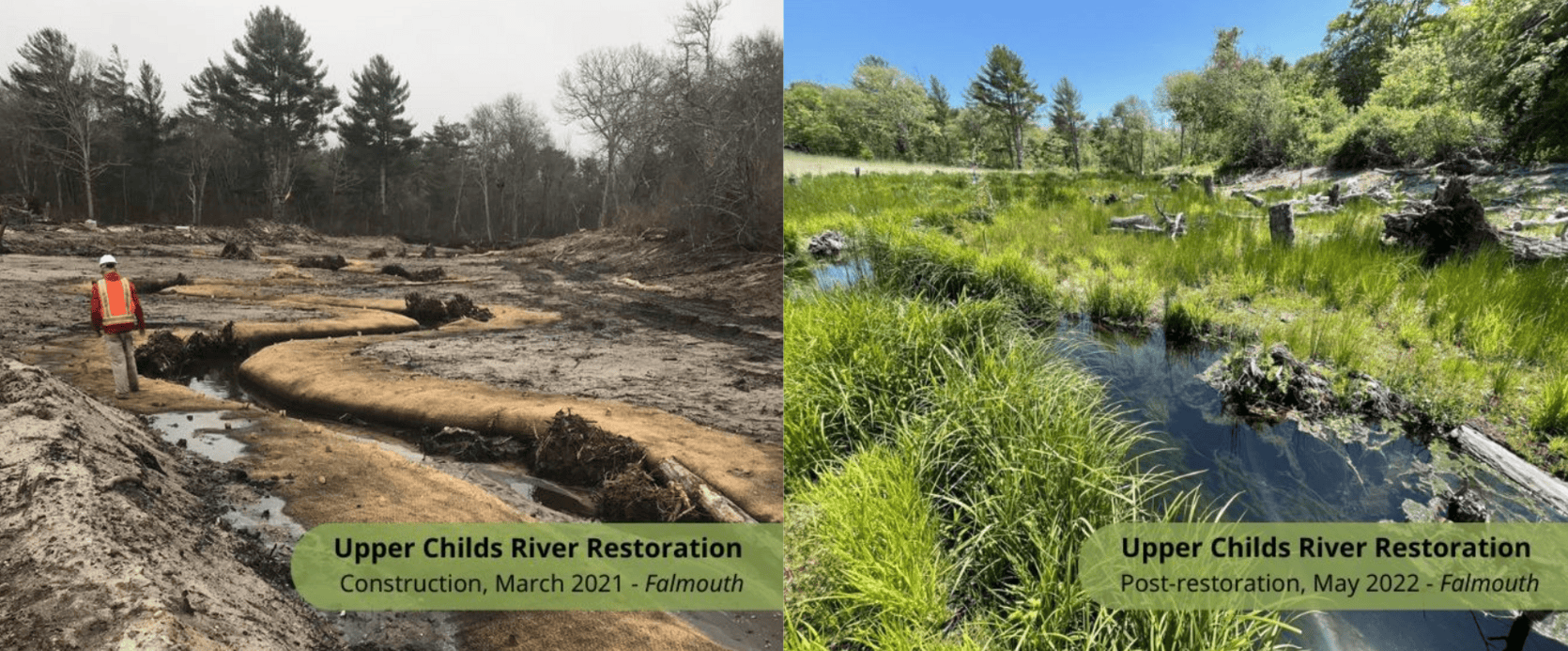River Restoration
