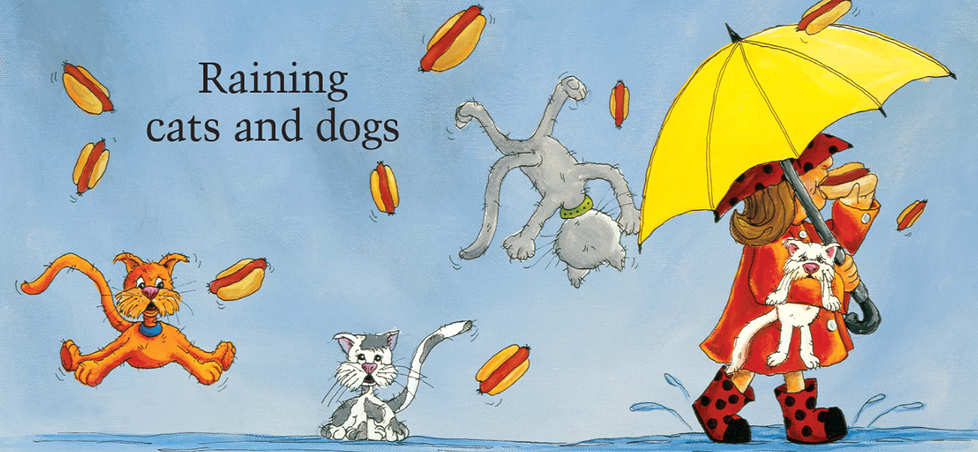 raining cats and dogs